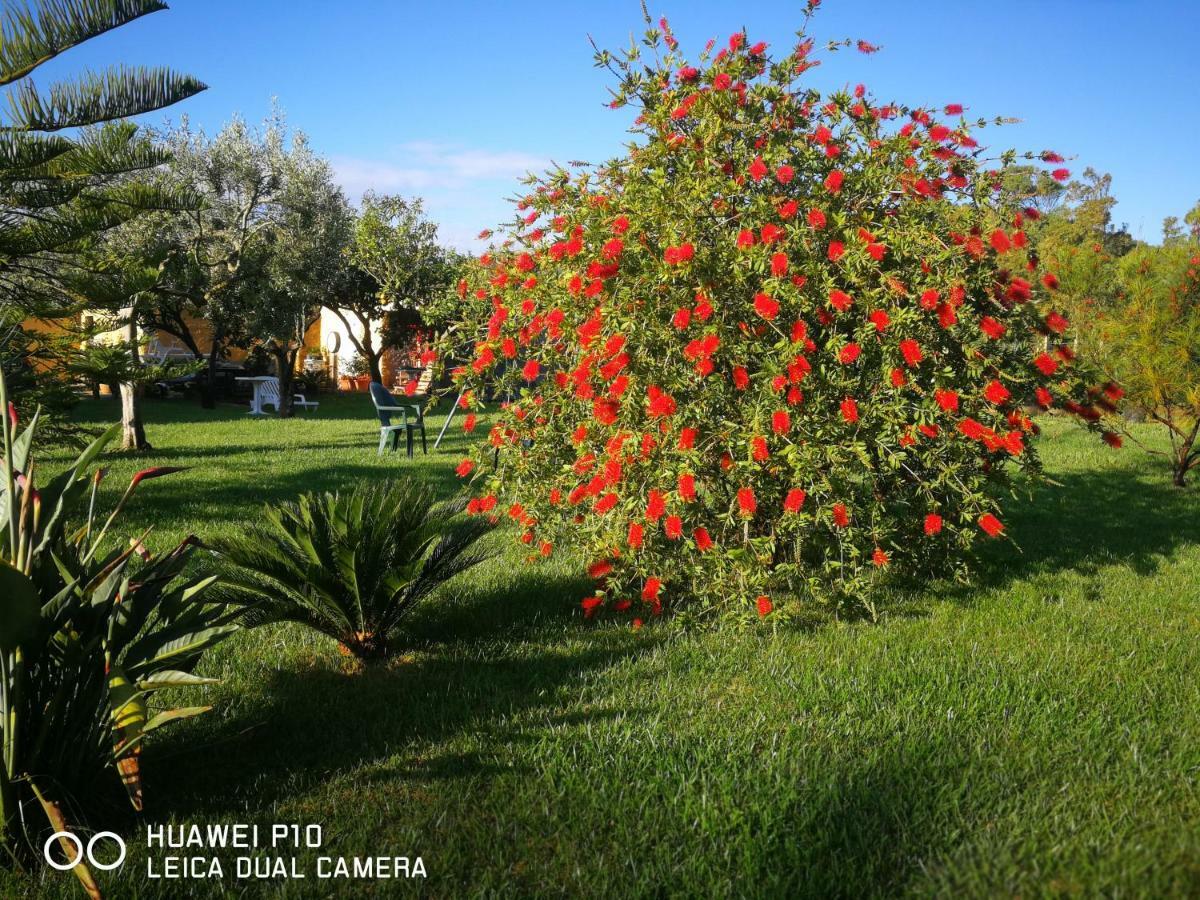 B&B Fiori Di Pesco Fertilia Exterior foto